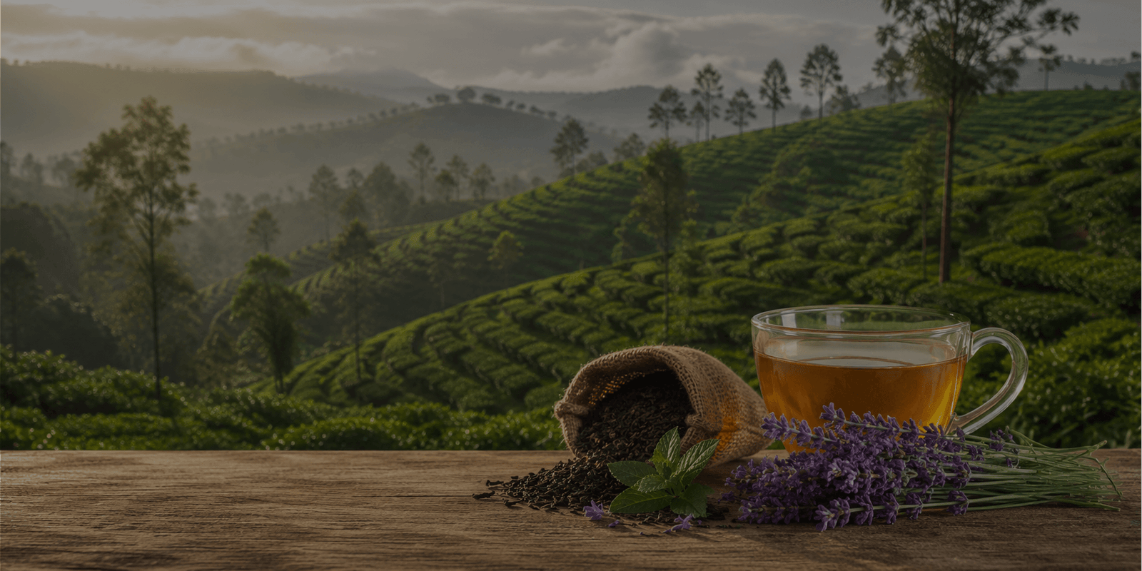 Lavender with Earl Gray Ceylon Tea
