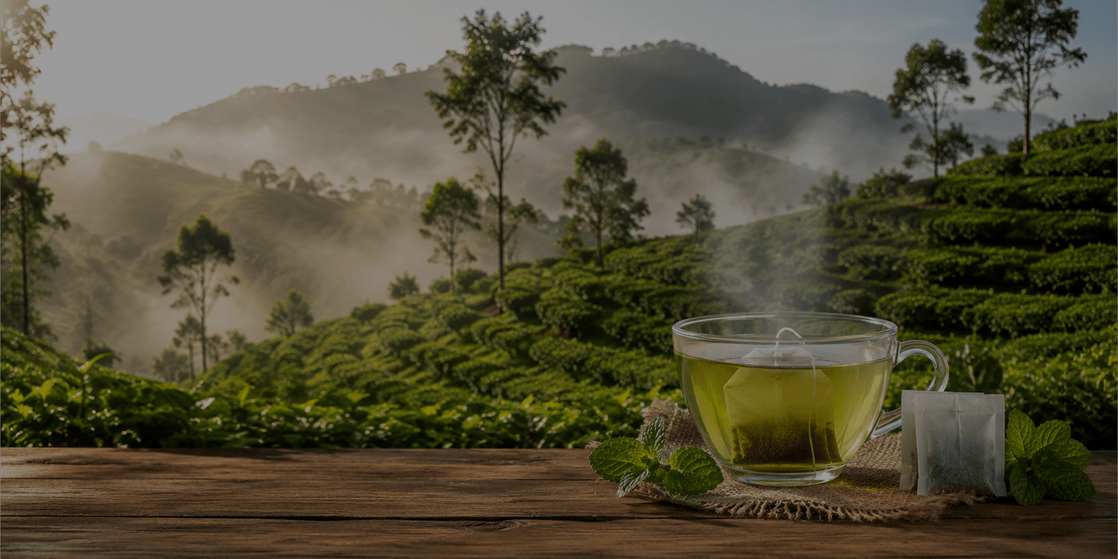Green with Mint  Ceylon Tea