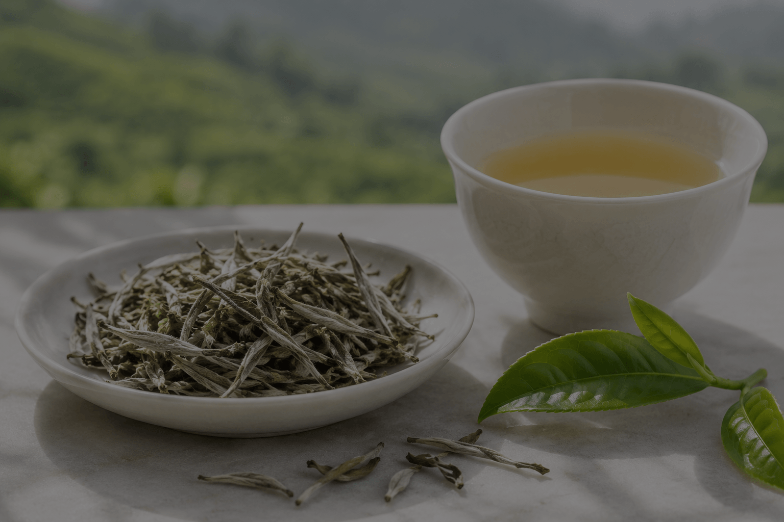 Ceylon Silver Tips – White Tea