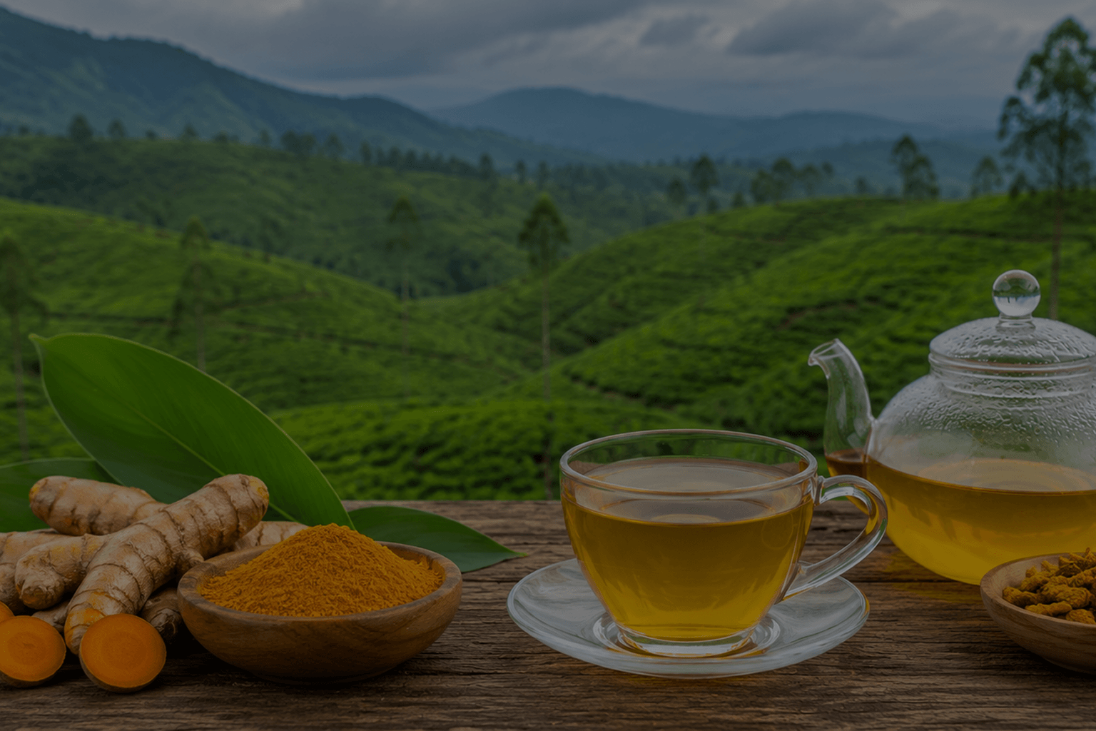 Turmeric Infusion