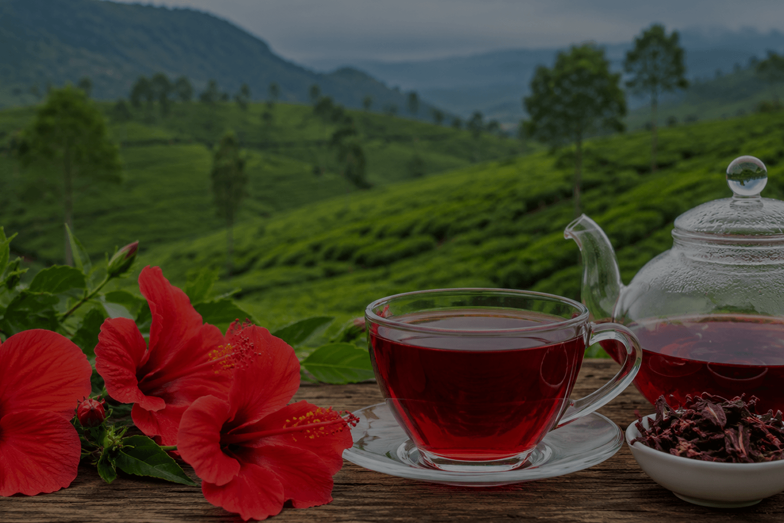 Hibiscus Herbal Ceylon Tea